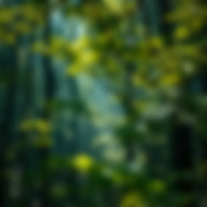 The State of Endangered Plant Species: An In-Depth Examination Summary