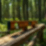 The Utility and Precision of a Four-Foot Wood Level in Forestry Applications Introduction