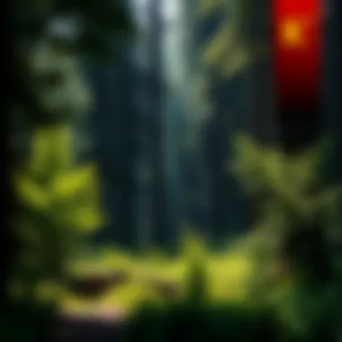 Diverse Ecosystem in Timber Harvesting A lush forest showcasing diverse tree species and undergrowth.