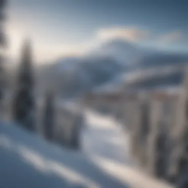 Scenic View of Timberline Ski Resort A scenic view of Timberline ski resort showcasing the slopes