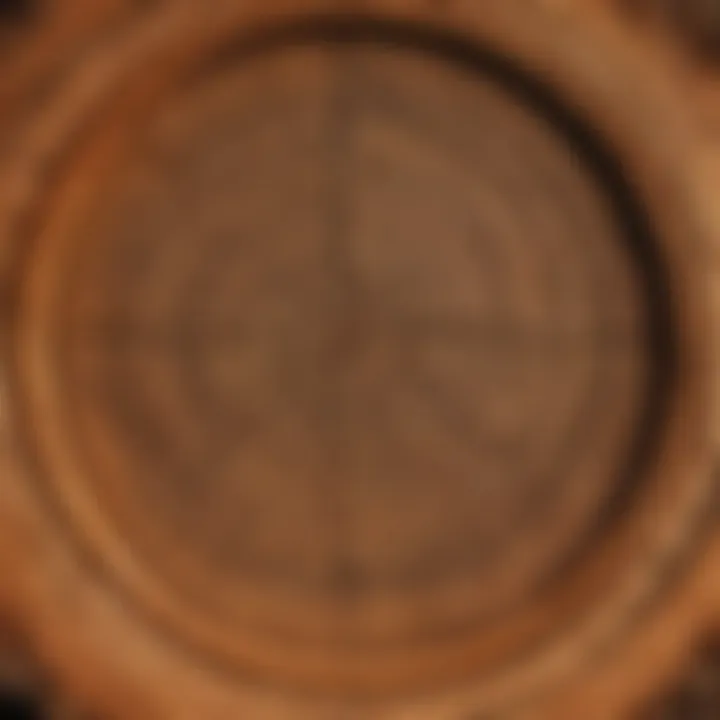 A close-up view of tree rings indicating growth patterns