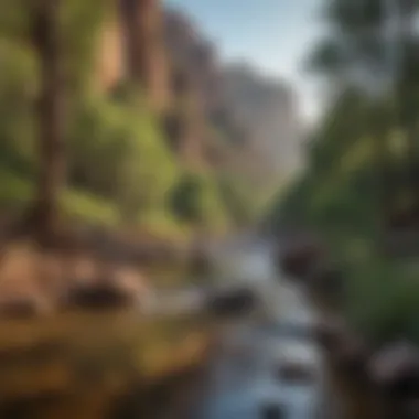 Diverse Landscapes of Tonto National Forest Scenic view of Tonto National Forest showcasing diverse landscapes