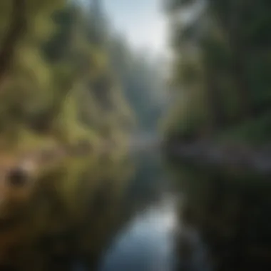 Tranquility in Nature: Premier Fishing Spots in Southern California A tranquil fishing spot surrounded by lush greenery in Southern California