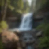 Majestic view of Douglas Falls cascading down the rocks