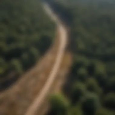 Aerial view of a dense forest displaying dry links within the ecosystem.