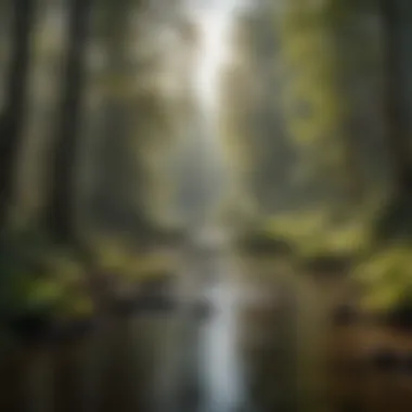 The Vital Role of Clean Water A river ecosystem highlighting the importance of clean water