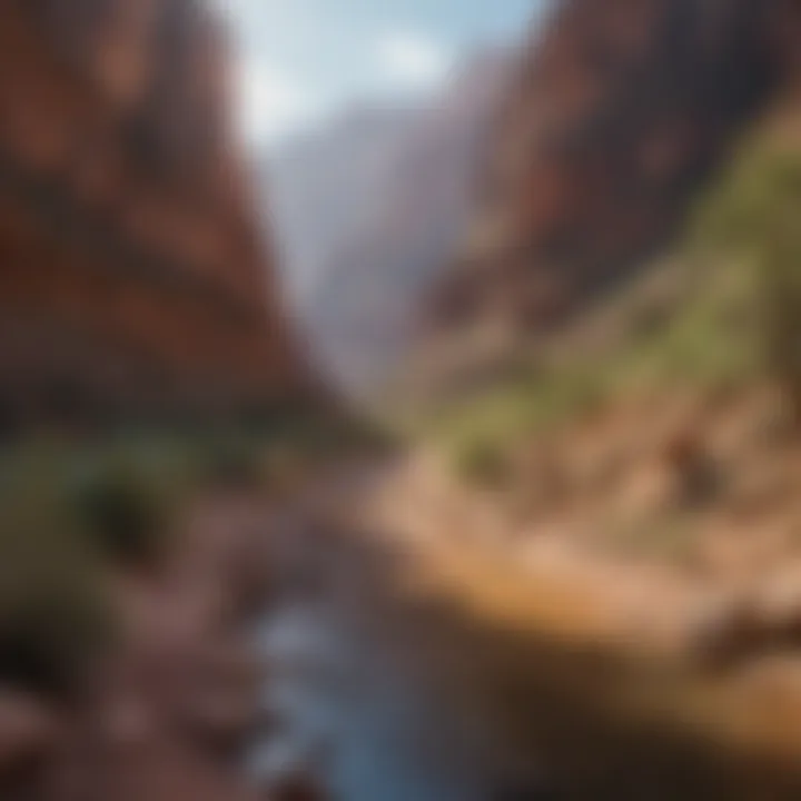 Tourists exploring the Grand Canyon during peak season