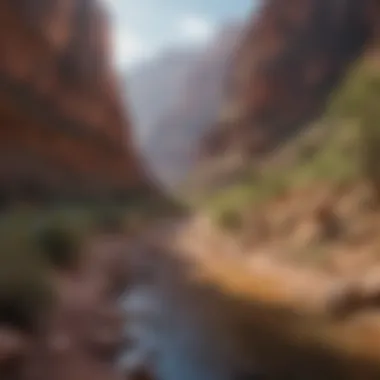 Exploration at Its Finest: Tourists Discovering the Grand Canyon Tourists exploring the Grand Canyon during peak season