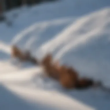 Close-up of snow layers illustrating snow mass characteristics