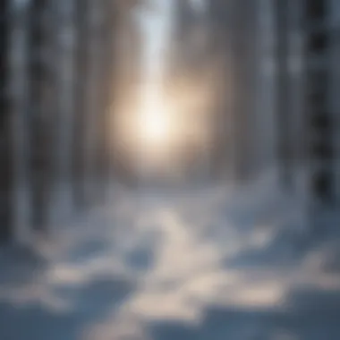 Biodiversity in Snow-Covered Ecosystems Diverse forest ecosystem under snow coverage emphasizing biodiversity