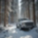 Snow-covered forest landscape showcasing snow mass accumulation