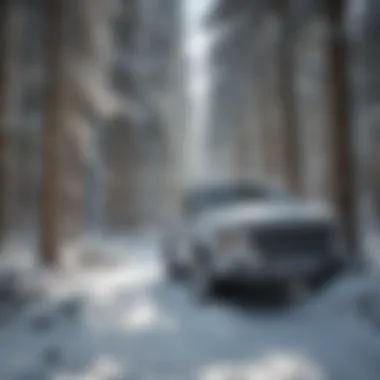 Snow Mass Accumulation in Forests Snow-covered forest landscape showcasing snow mass accumulation