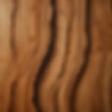 Close-up of cedar wood grain showcasing its unique patterns