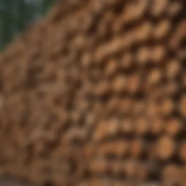 Cedar Timber Stacks Beautiful cedar timber stacked for sale