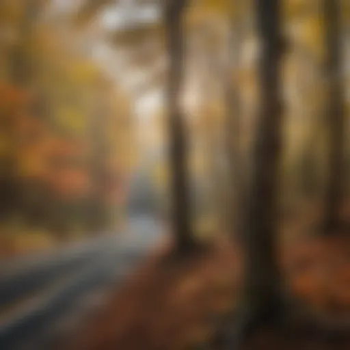 Scenic view of the Blue Ridge Parkway showcasing autumn foliage