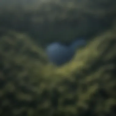 Dense Forests: Nature’s Carbon Reservoirs Aerial view of dense forest illustrating carbon sequestration