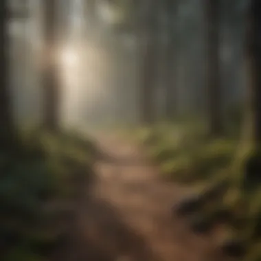 Sustainable Forestry: Pathway to Ecosystem Resilience Sustainable forestry practices enhancing ecosystem health