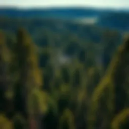 Understanding the Land Buy Process: A Comprehensive Guide Introduction