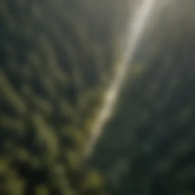 Aerial View of Sustainable Forestry with Air Curtain Technology Aerial view of a lush forest showcasing the application of air curtain technology