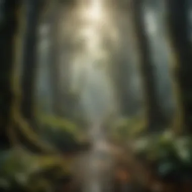 The Importance of Rainforests in Biodiversity A vibrant rainforest illustrating rich biodiversity