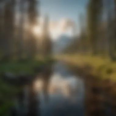 Nature's Majesty in Alaska Alaska landscape reflecting the natural environment