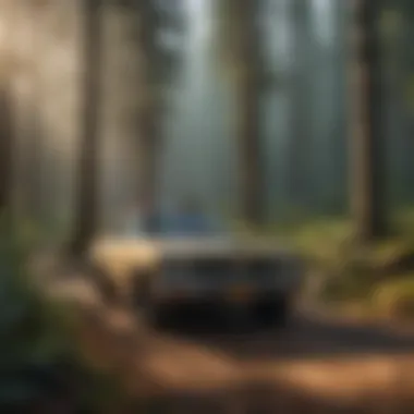 Purchasing a Forest Pass A depiction of a user purchasing a forest pass online.