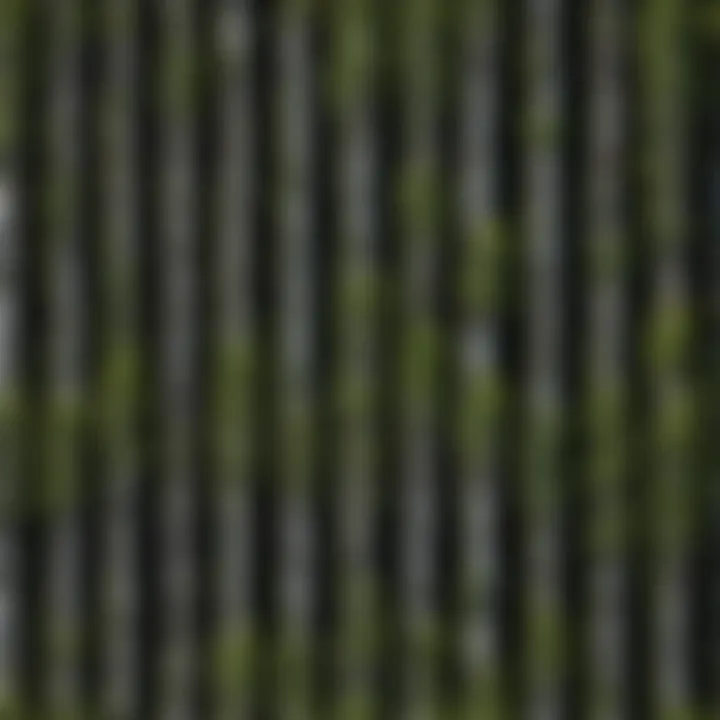 An illustration depicting various types of tree paint containers