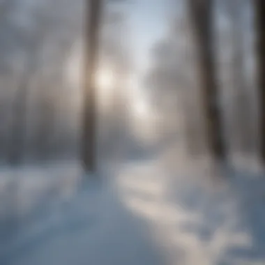 Snow-covered landscape in Gaylord during winter