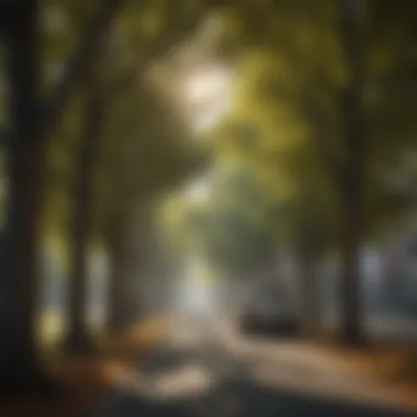 Effective Pest Management Strategies for Urban Trees Pest management techniques for urban trees