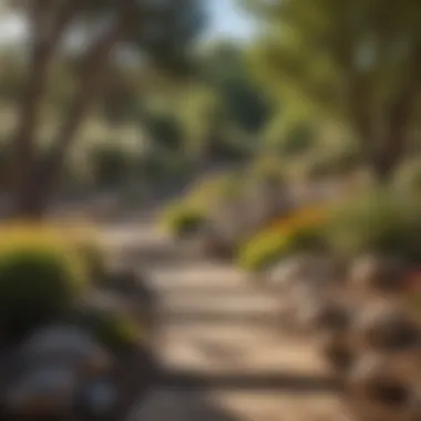 Xeriscape Aesthetics A beautifully designed xeriscape illustrating a balance of aesthetics and water conservation.