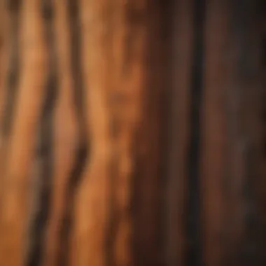 Close-up of redwood bark highlighting its texture