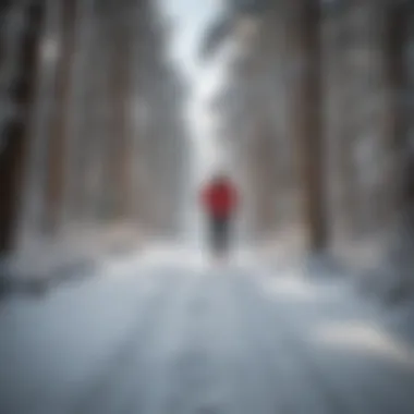Skier Gliding Through Wisconsin's Snowy Forest Cross country skier gliding through a snowy forest