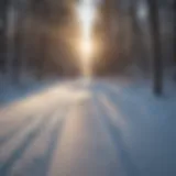 Serene winter landscape with cross country ski tracks