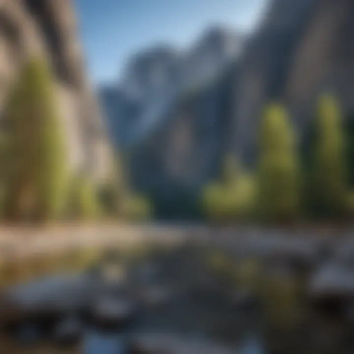Close-up of the Yosemite Access Pass against a backdrop of towering granite cliffs