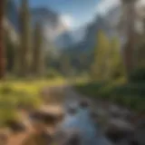 Scenic view of Yosemite Valley showcasing its natural splendor
